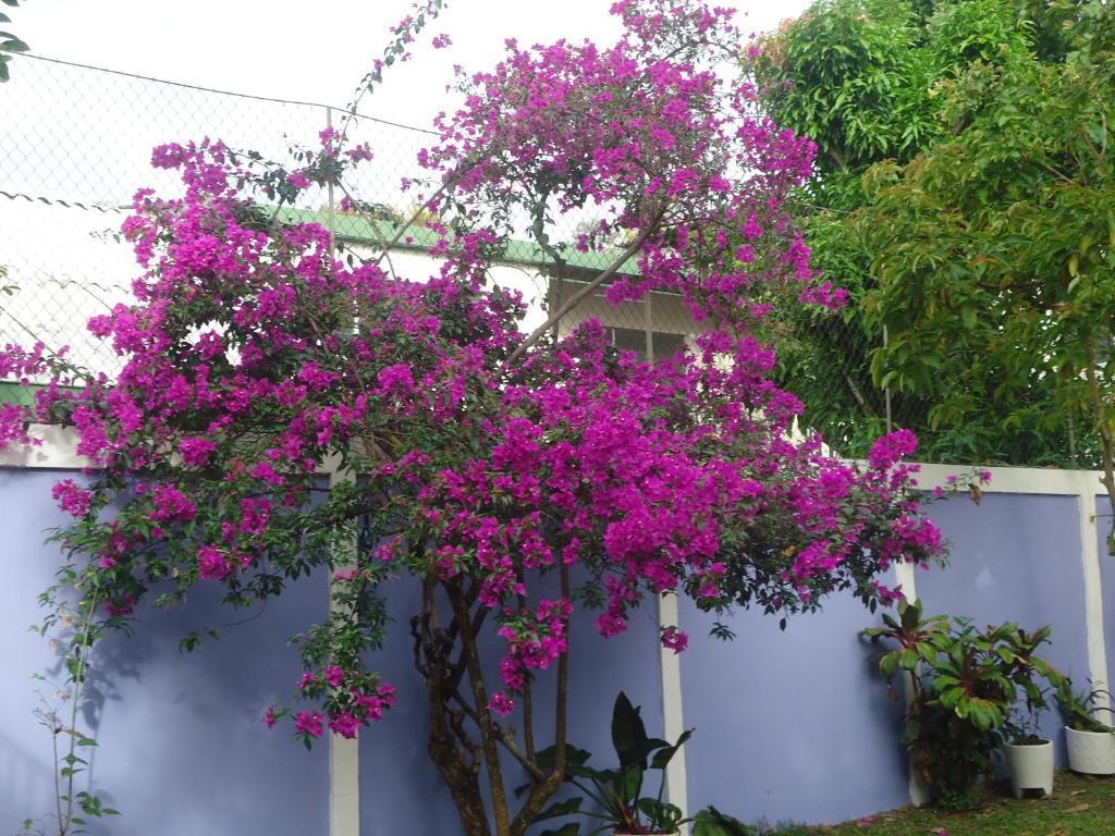 Hotel Jardin Del Carmen San Salvador Exterior foto